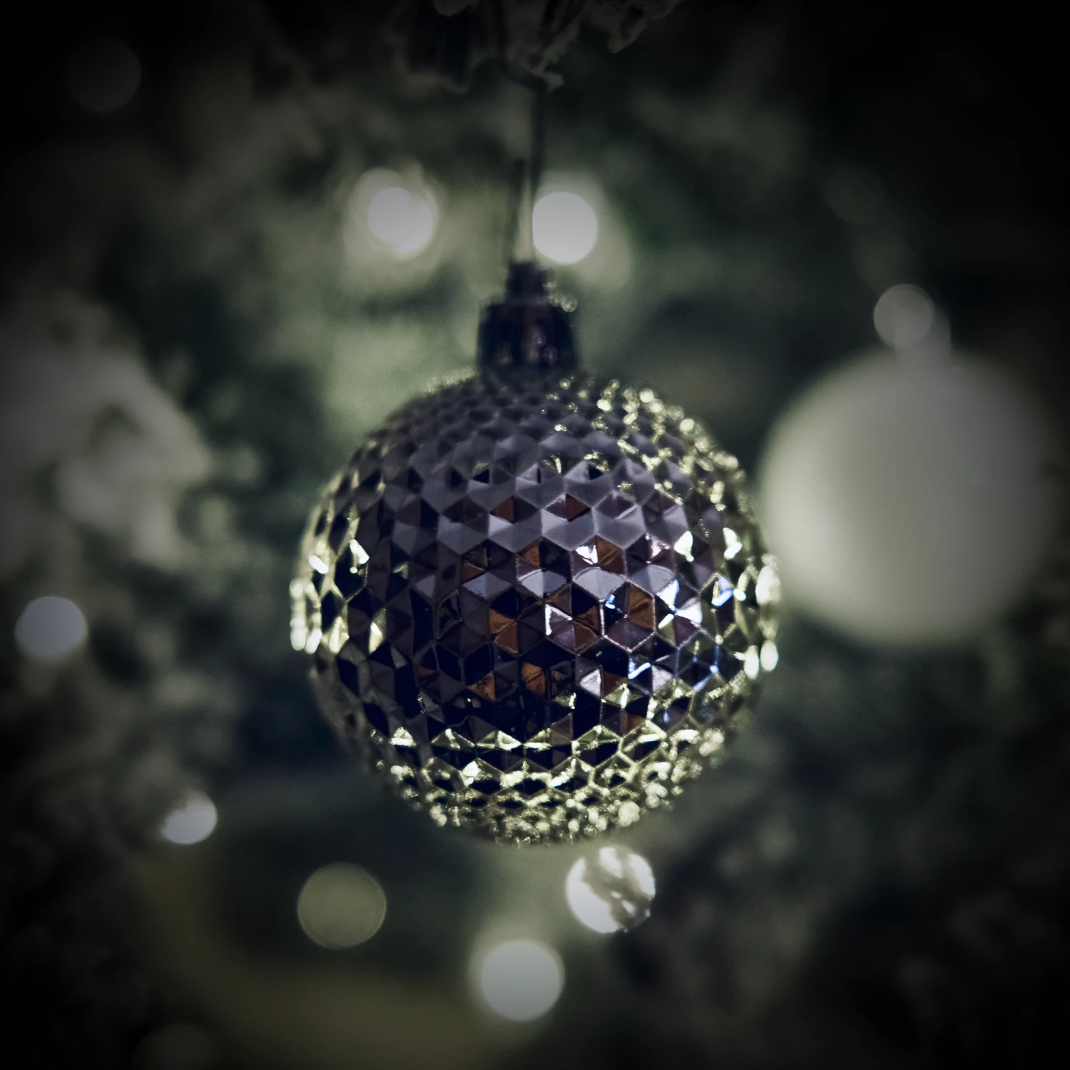 Professional Holiday Party