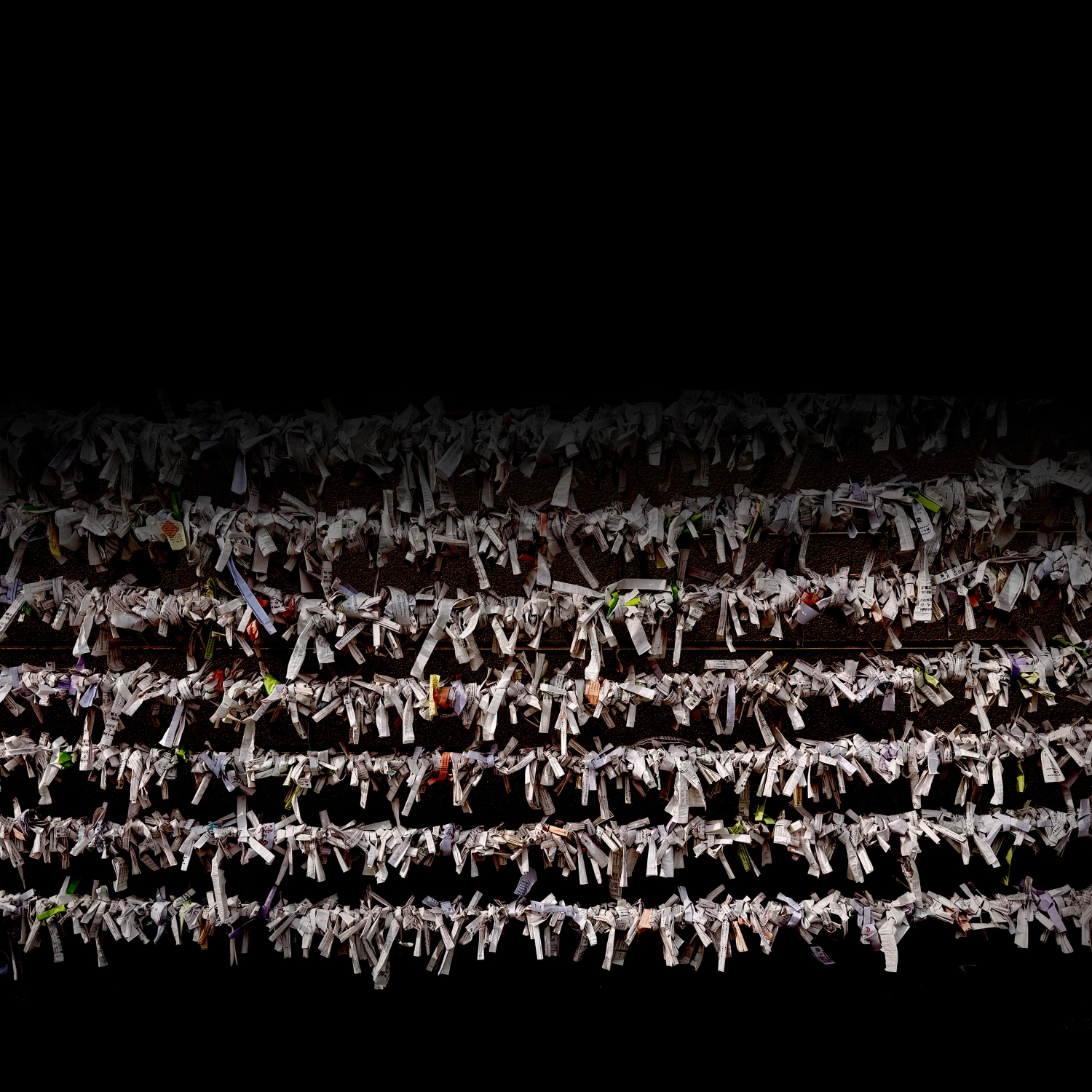 Dead Trees Bloom Flowers