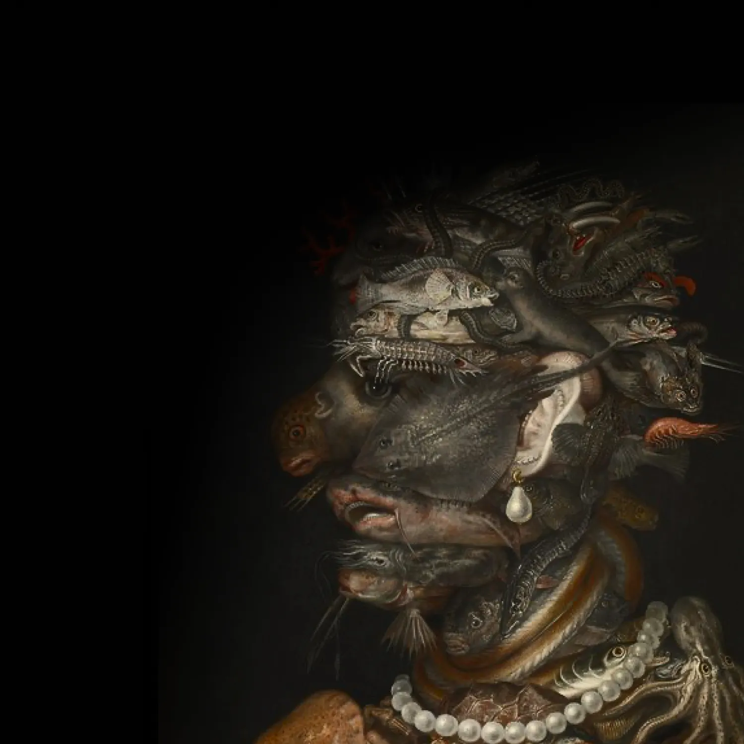 Night Flight to Vienna