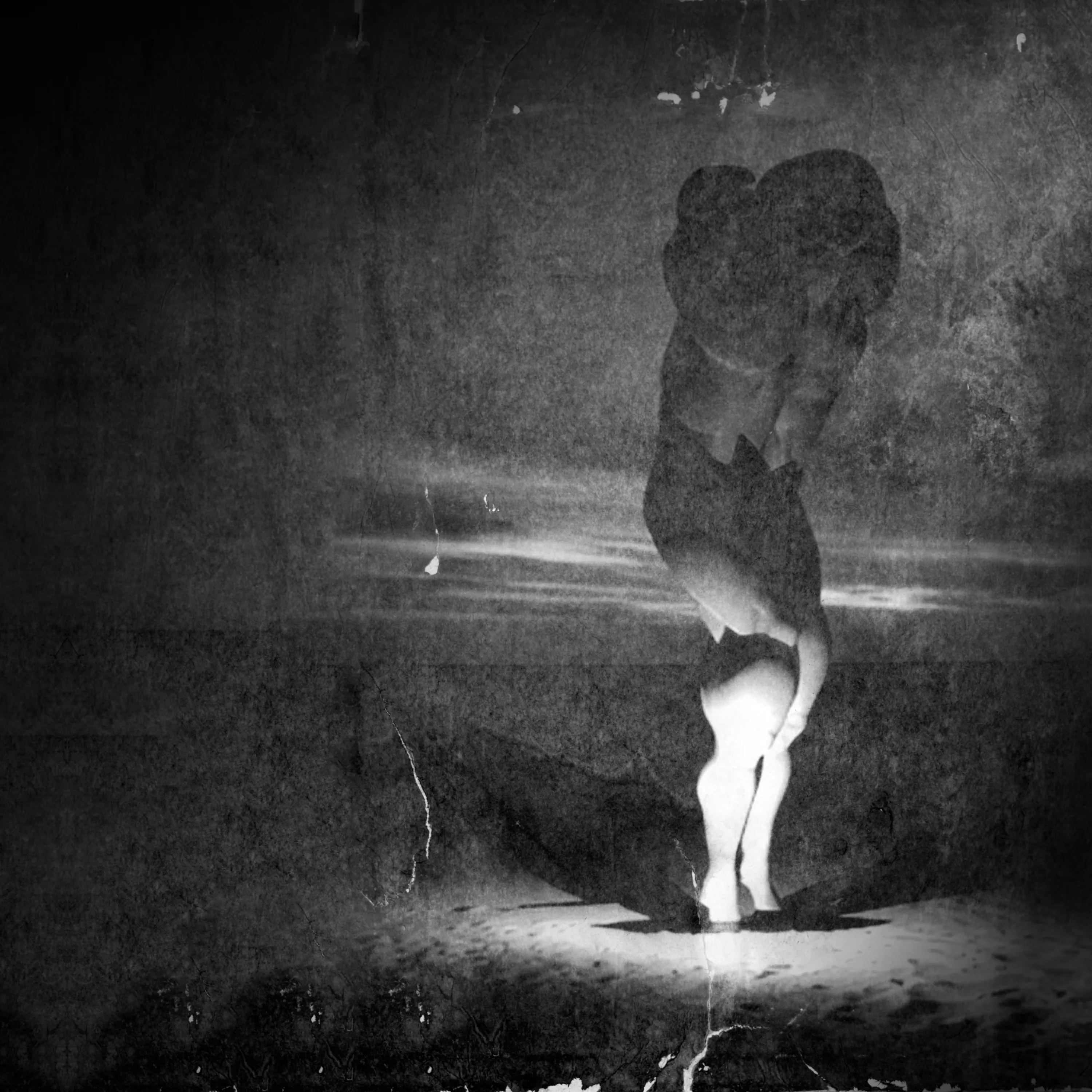 Night Flight to Vienna