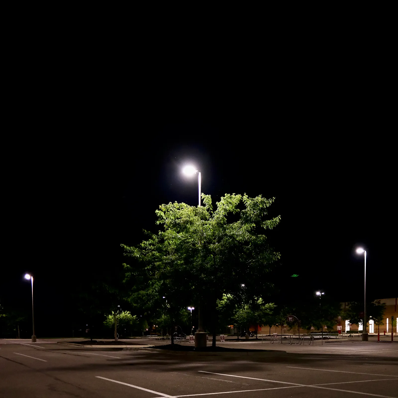 Dreamland