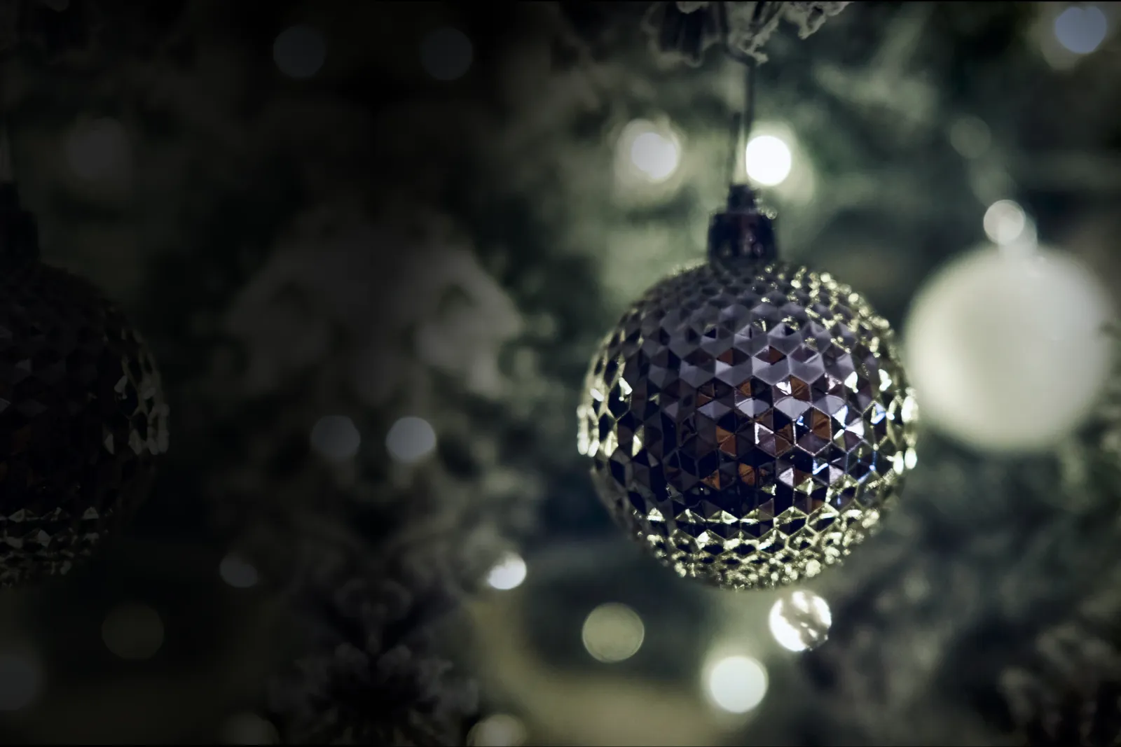 Professional Holiday Party