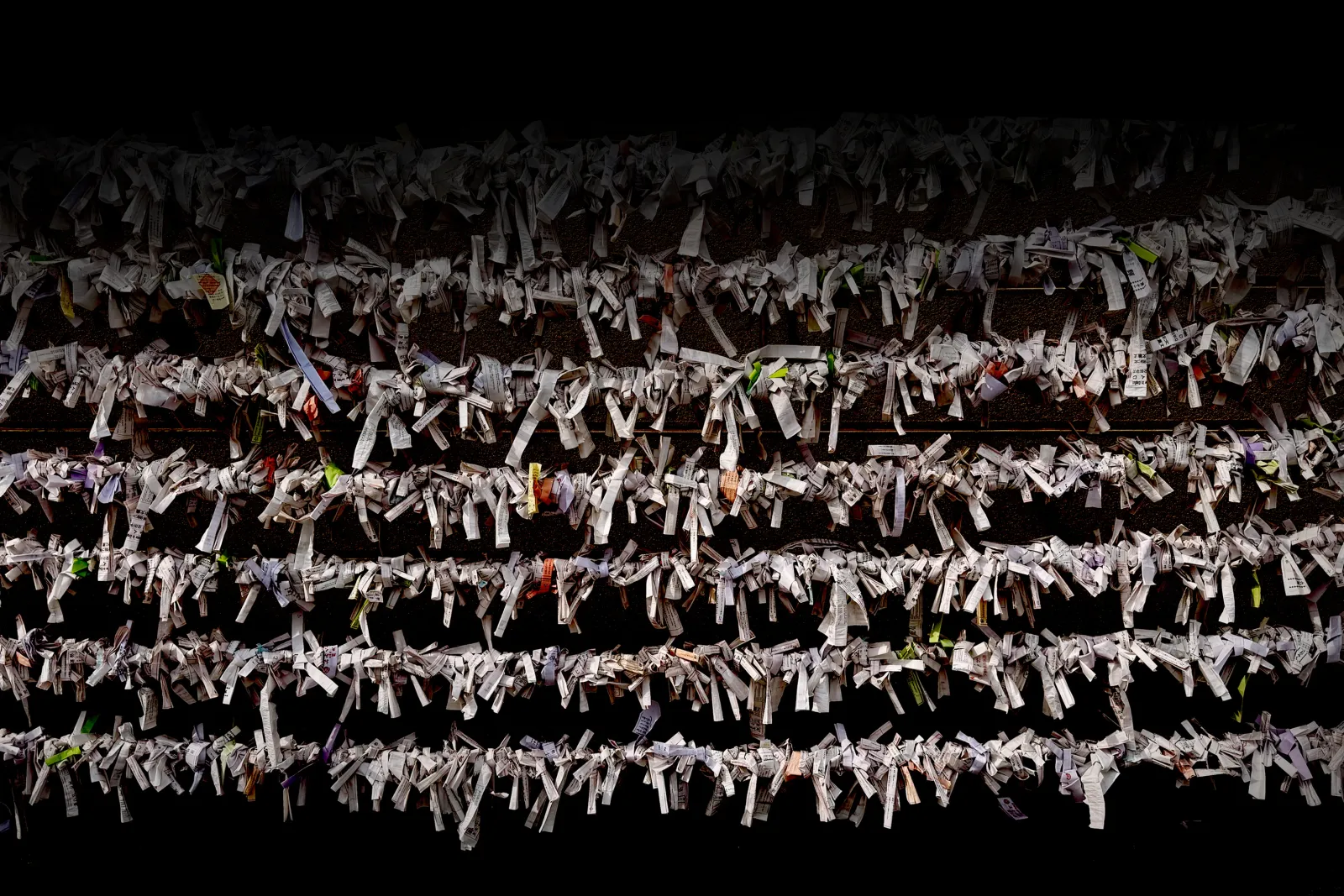 Dead Trees Bloom Flowers