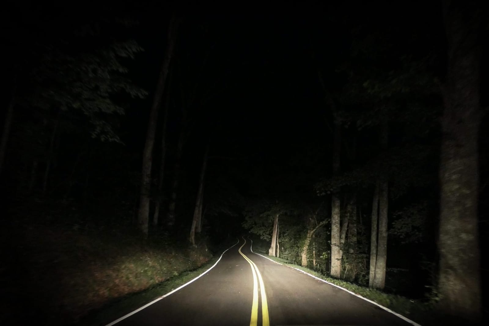 Homeward
